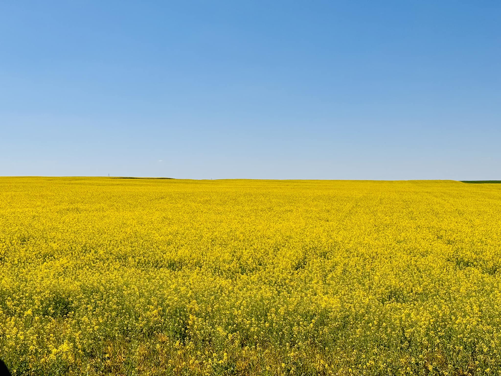 Laiškai iš Ukrainos
